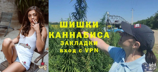 соль ск Зеленодольск