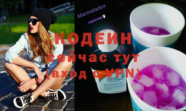 соль ск Зеленодольск