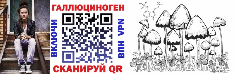 Псилоцибиновые грибы Psilocybine cubensis  Купить где  Ковров 